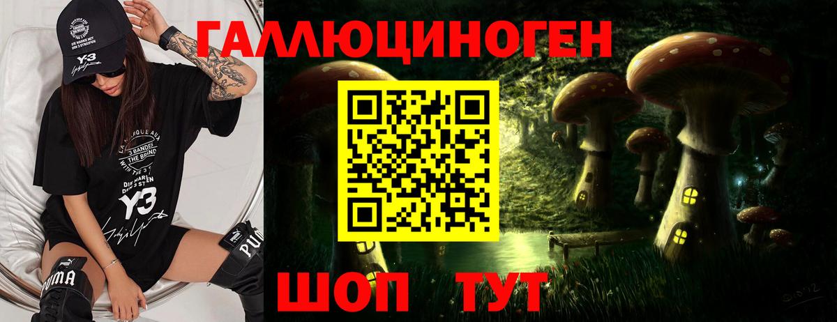 Златоуст  Псилоцибиновые грибы GOLDEN TEACHER  Псилоцибиновые грибы Cubensis  Вход с VPN 